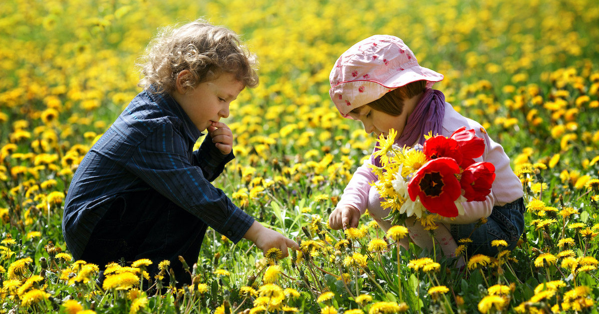 Comment bien sécuriser son jardin lorsqu'on a un enfant ?