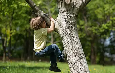 202407PREVjeuxVignette.webp