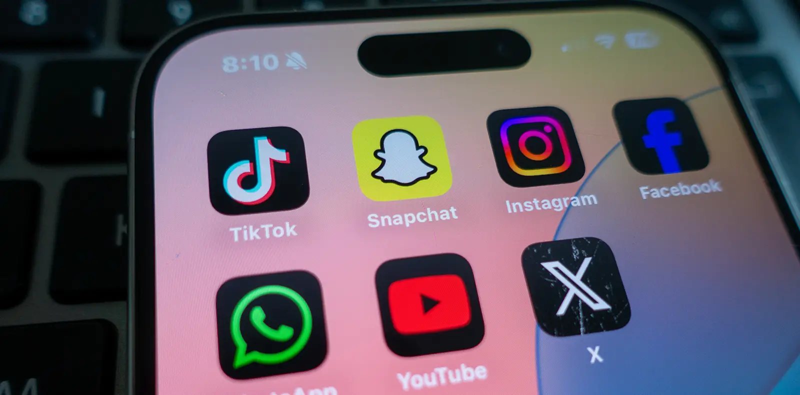 Principaux réseaux sociaux