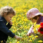 Enfants cueillent des fleurs