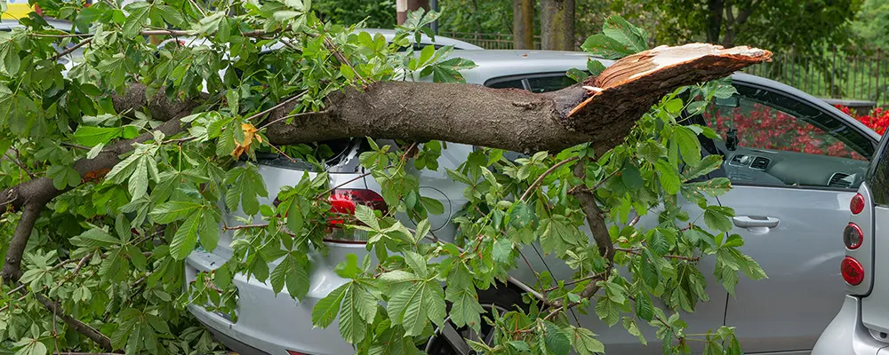 se protéger en cas de tempête