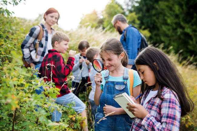 Sortie scolaire nature