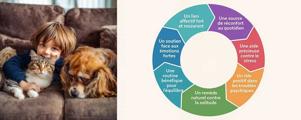 L'effet positif des animaux