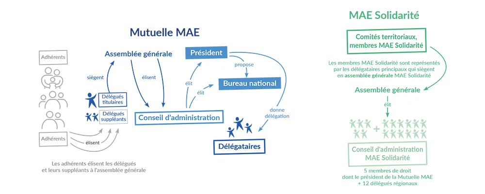 Infographie mutuelle MAE